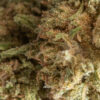 ORANGE BUD MACRO. – CBD ShopTakons