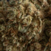 WHITE WIDOW MACRO. – CBD ShopTakons