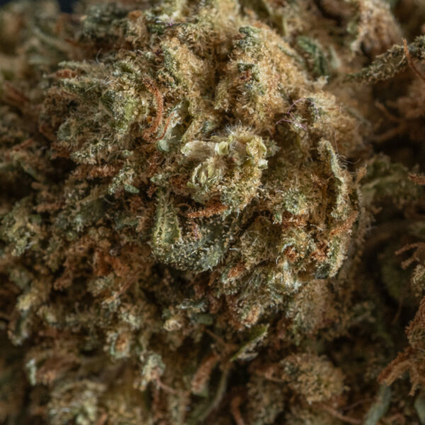 WHITE WIDOW MACRO. – CBD ShopTakons