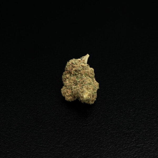 Gorilla Bud – CBD ShopTakons