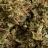 GORILLA MACRO. – CBD ShopTakons