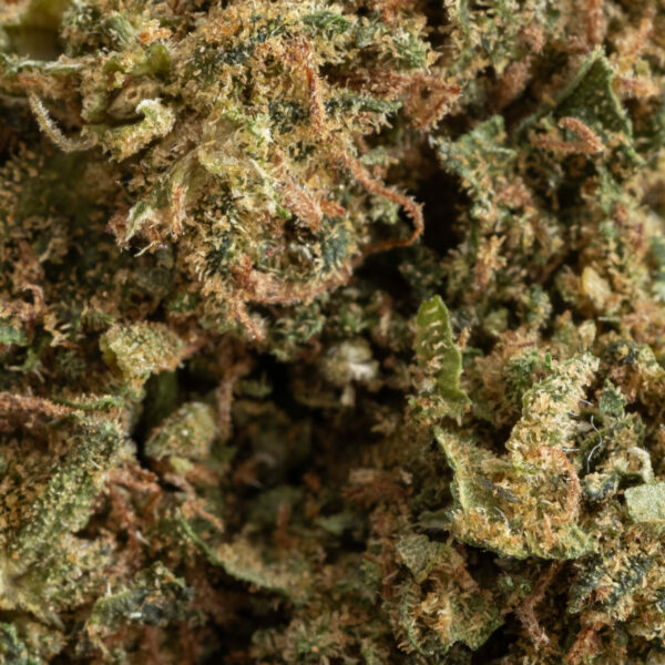 GORILLA MACRO. – CBD ShopTakons