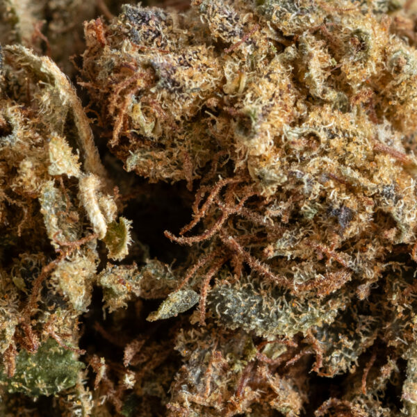 LIMONCELLO MACRO. – CBD ShopTakons