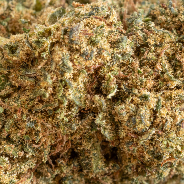 SOUR DIESEL MACRO. – CBD ShopTakons