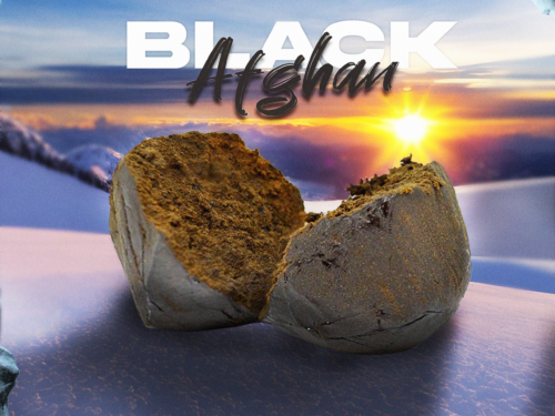 BLACK AFGHANV BLACK AFGHANV – CBD ShopTakons