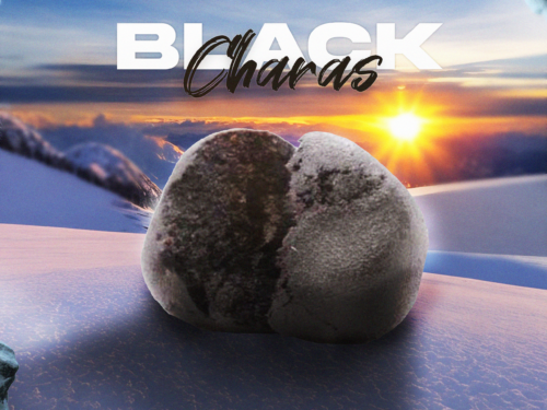 BLACK CHARRAS ii BLACK CHARRAS ii – CBD ShopTakons