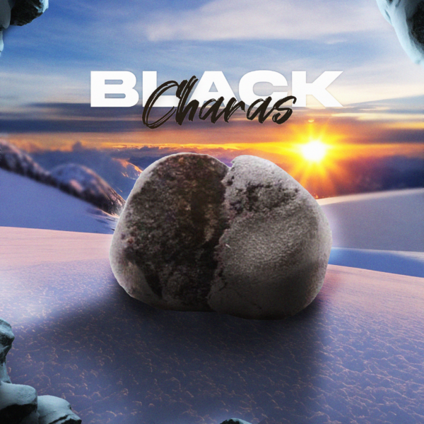 BLACK CHARRAS ii – CBD ShopTakons