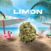 Fleur de CBD Limoncello – CBD ShopTakons