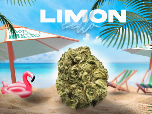 Fleur de CBD Limoncello Fleur de CBD Limoncello – CBD ShopTakons