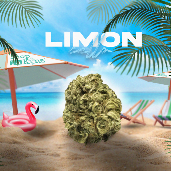 Fleur de CBD Limoncello – CBD ShopTakons