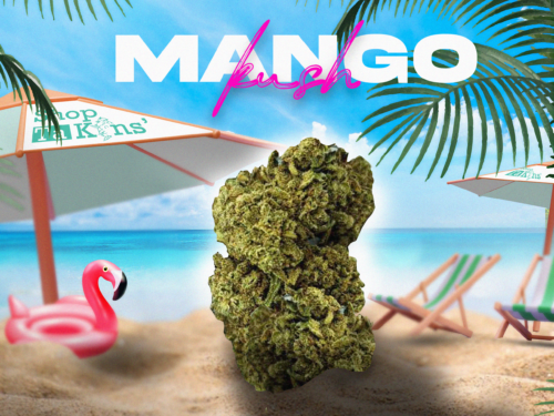 acheter du CBD en ligne – CBD ShopTakons