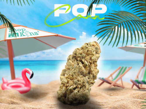 acheter du CBD en ligne acheter du CBD en ligne – CBD ShopTakons