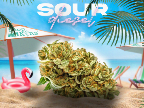 acheter du CBD en ligne acheter du CBD en ligne – CBD ShopTakons