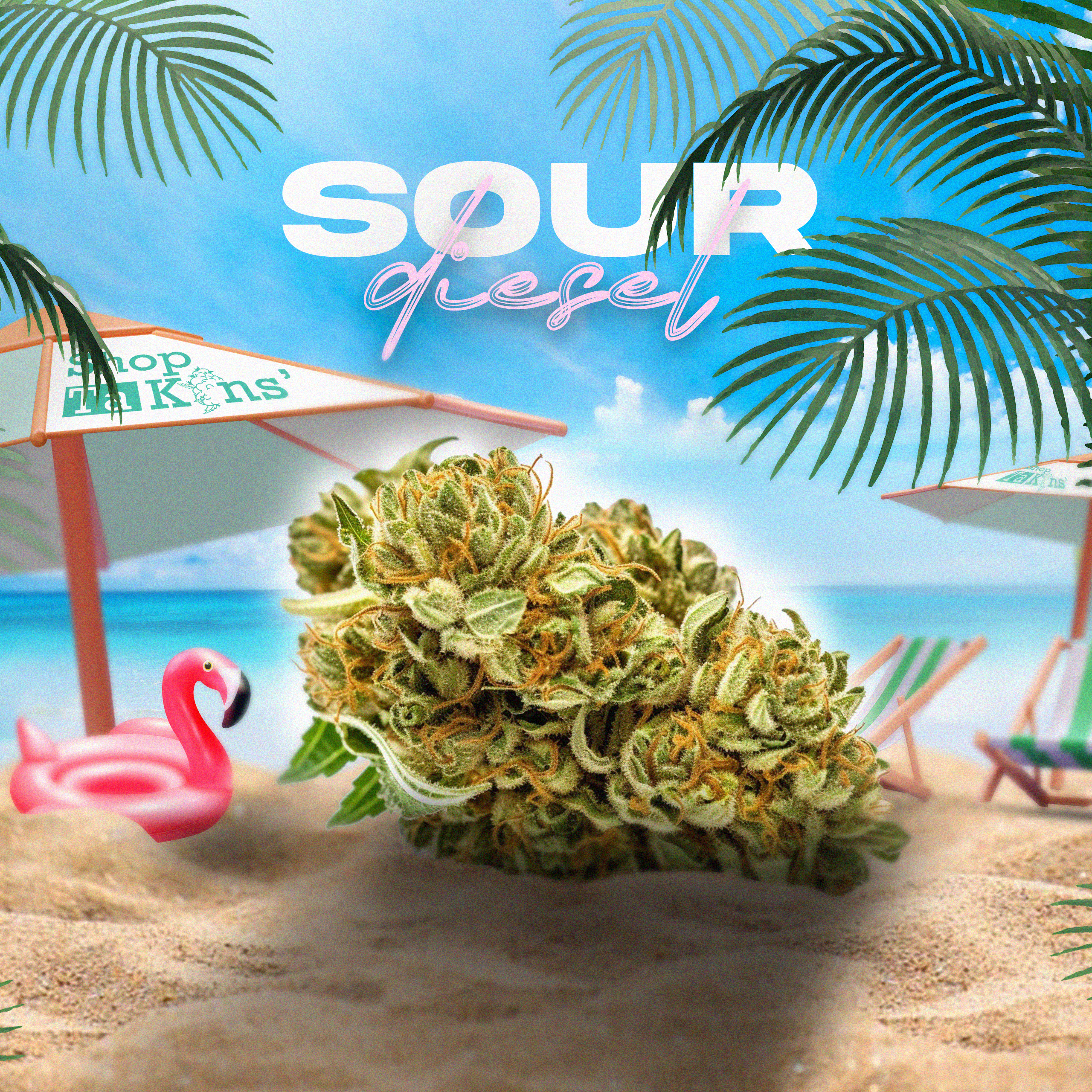 acheter du CBD en ligne – CBD ShopTakons
