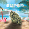 SUPER SKUNK III – CBD ShopTakons