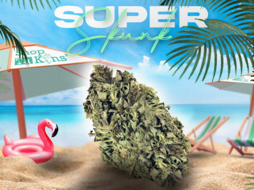 SUPER SKUNK III SUPER SKUNK III – CBD ShopTakons