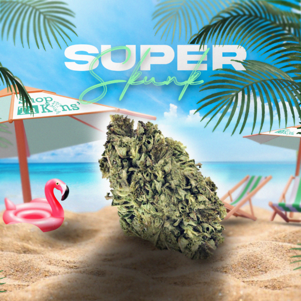 SUPER SKUNK III – CBD ShopTakons