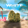 WHITE WIDOW III – CBD ShopTakons