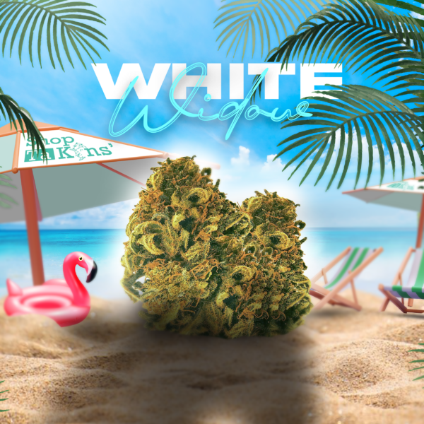 WHITE WIDOW III – CBD ShopTakons