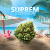 Fleurs CBD Suprem – CBD ShopTakons