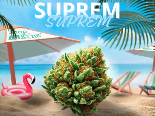 Fleurs CBD Suprem Fleurs CBD Suprem – CBD ShopTakons