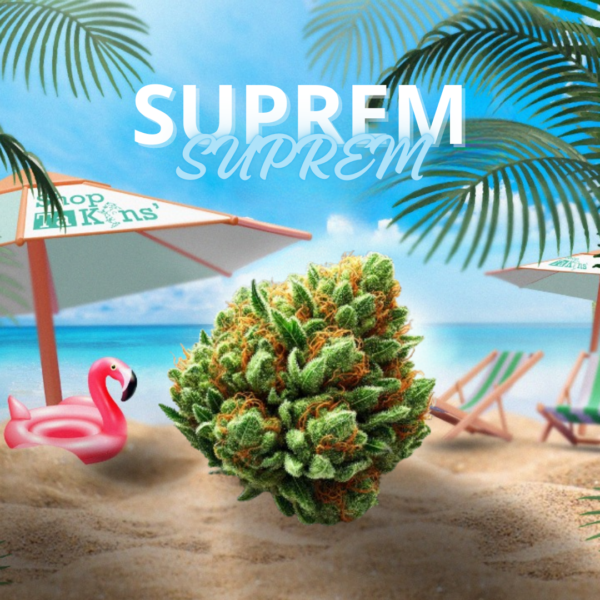 Fleurs CBD Suprem – CBD ShopTakons